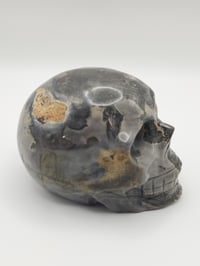 Image 2 of Picture Jasper Skull