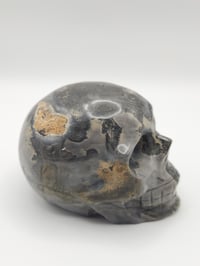Image 3 of Picture Jasper Skull