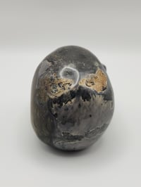 Image 4 of Picture Jasper Skull