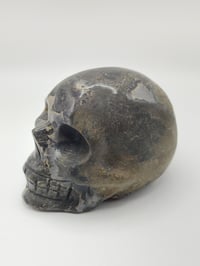 Image 5 of Picture Jasper Skull