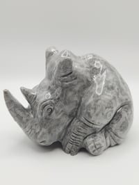 Image 4 of Picasso Jasper Rhino