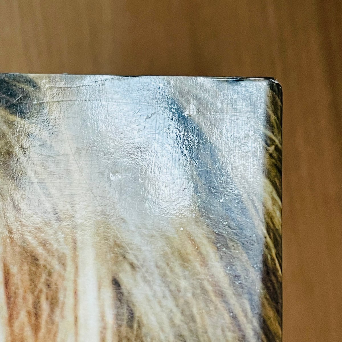 MODEST) BOOKS — (Juergen Teller)(ユルゲン・テラー)(Taschen 1996)