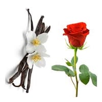 Image 1 of ROSE AND VANILLA FRAGRANCE OIL