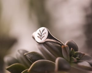 Image of Botanical Engraved Signet ring (made in silver or 9ct gold)