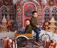 Image 1 of 2026 Regular Holiday Sessions 20% off