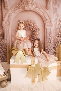Image 2 of 2026 Regular Holiday Sessions 20% off