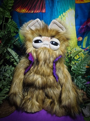 Canidae-With Purple Handfelted Vest!