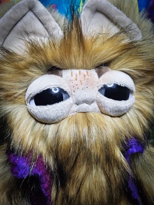 Canidae-With Purple Handfelted Vest!