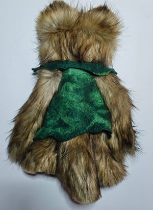 Canidae-With Green Handfelted Vest!