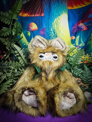 Canidae-With Green Handfelted Vest!