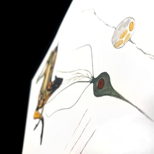 Image of Deer and Loon / âpisimôsis ekwa mâkwa