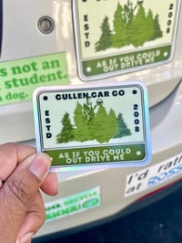 Twi-license Plate Sticker