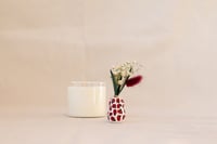 Image 3 of Petits pots de fleurs