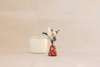 Image 4 of Petits pots de fleurs