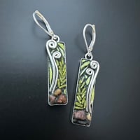 Image 1 of Pennsylvania Fiddleheads 