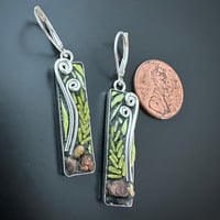 Image 2 of Pennsylvania Fiddleheads 