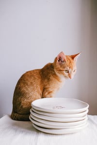 Image 4 of Platos personalizados | Vajilla de Cerámica Personalizada con nombres, frases...