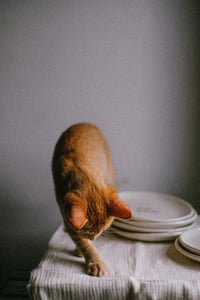 Image 14 of Platos personalizados | Vajilla de Cerámica Personalizada con nombres, frases...