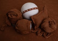 Image 2 of Rust brushed daisy- Curated Colors set 