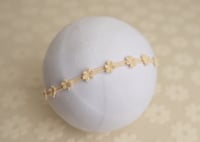 Image 2 of Cream Brushed Daisy- Curated Colors set 