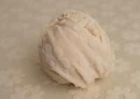 Image 3 of Cream Brushed Daisy- Curated Colors set 