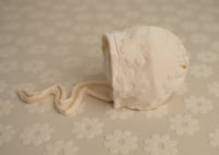 Image 5 of Cream Brushed Daisy- Curated Colors set 