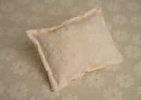 Image 6 of Cream Brushed Daisy- Curated Colors set 