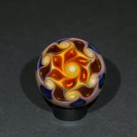 Image 7 of Golden Midnight Bloom