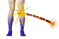 Image 15 of PAIN RELIEF BALM