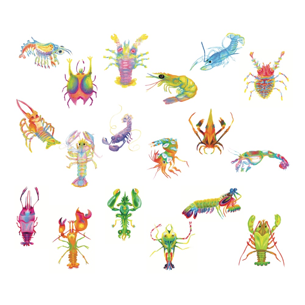 Image of .ᐣMystery Lobster Print.ᐣ