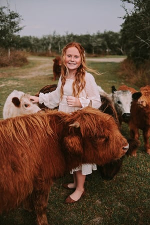 Image of Mini Herd Mini Session- Dec 28