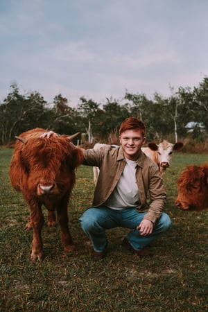 Image of Mini Herd Mini Session- Dec 28