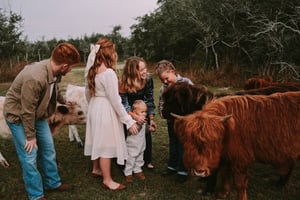 Image of Mini Herd Mini Session- Dec 28