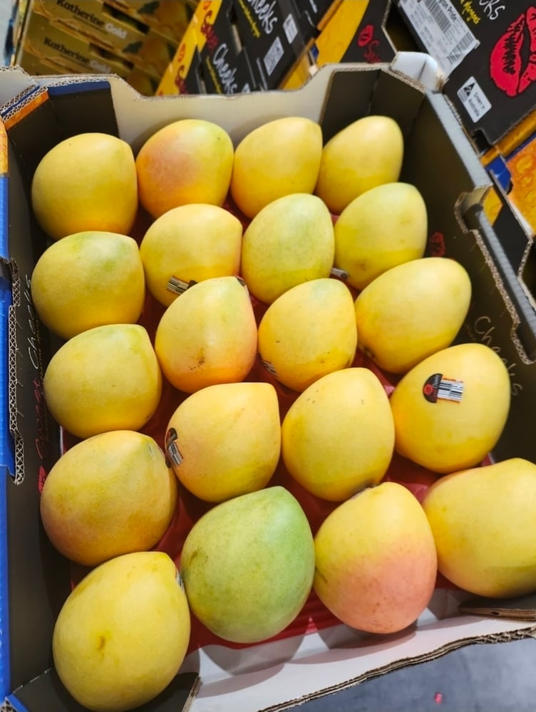 Image of Kensington Pride Mango Tray 
