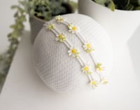 Image 1 of Crazy Daisy