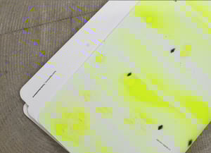 Image of Yuichi Higashionna / Family Resemblance : Special edition