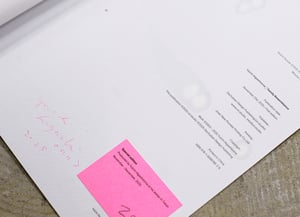 Image of Yuichi Higashionna / Family Resemblance : Special edition