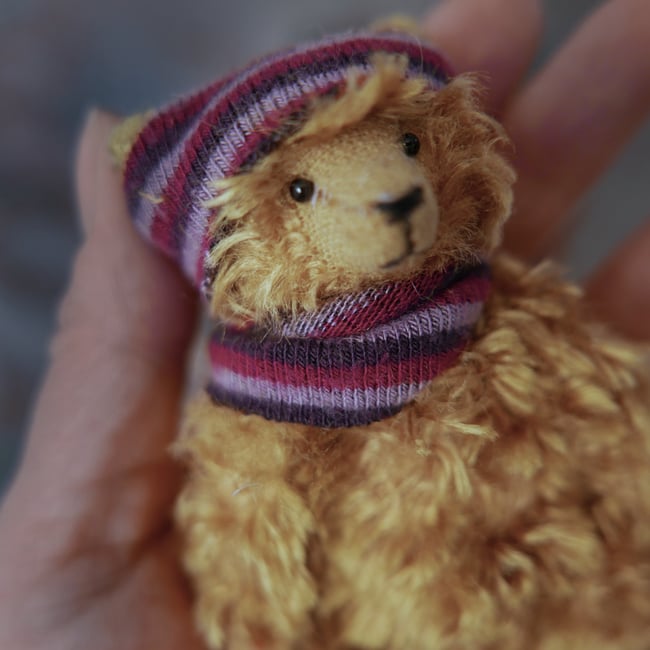 Dingle, a small golden bear