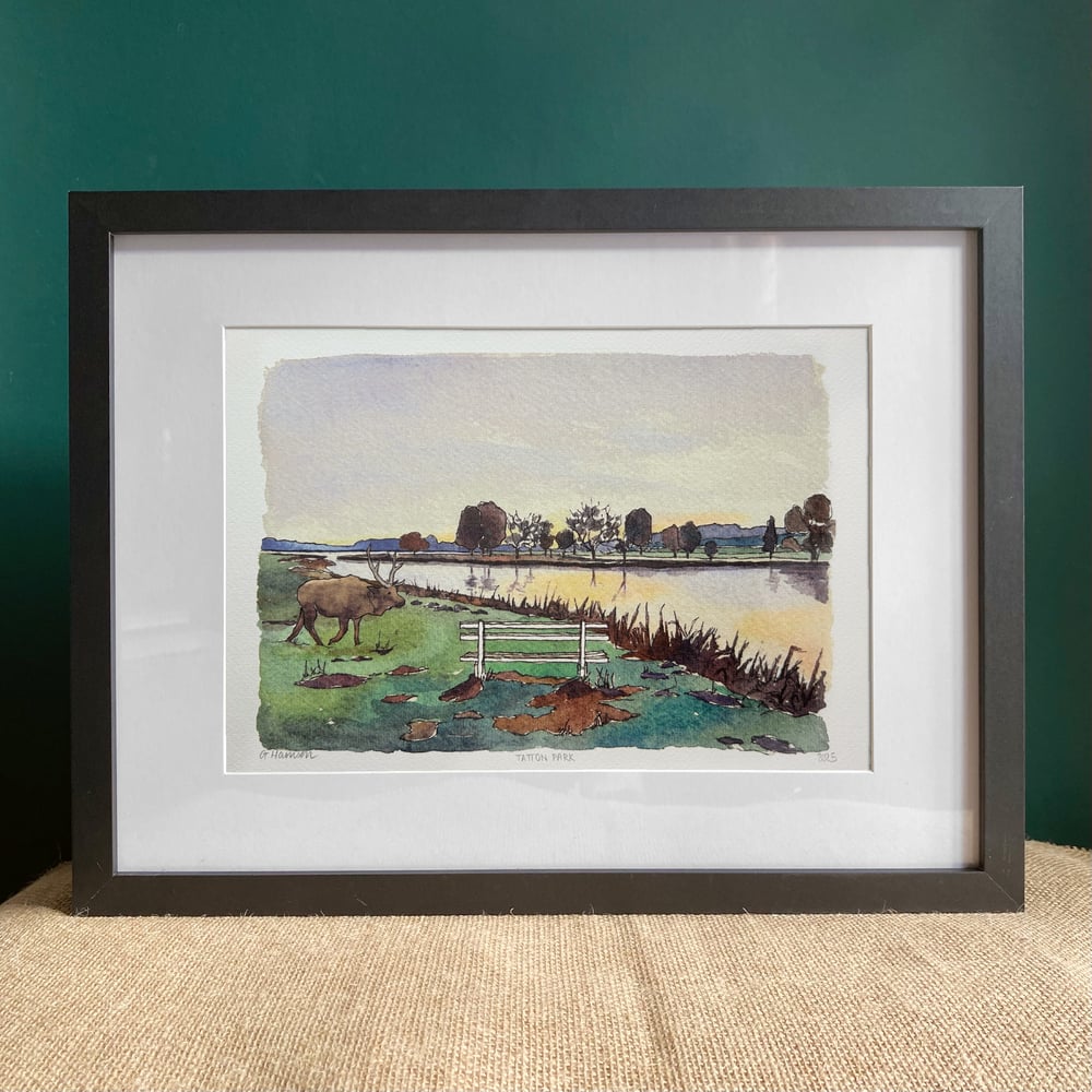 Image of knutsford print collection