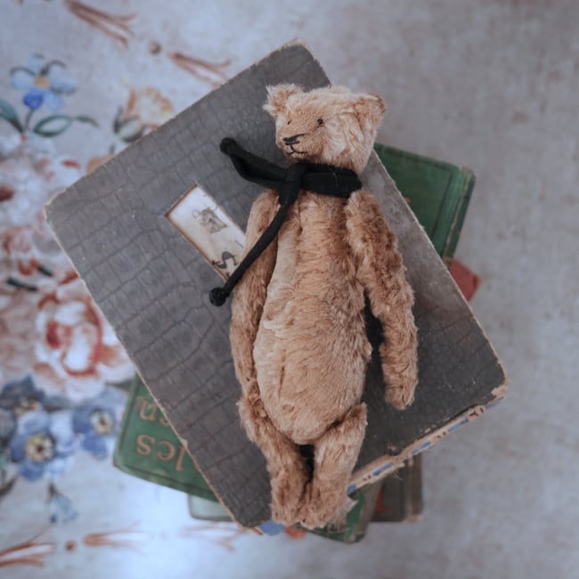 Hector, a miniature bear