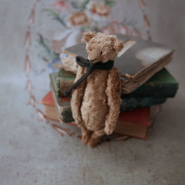 Hector, a miniature bear