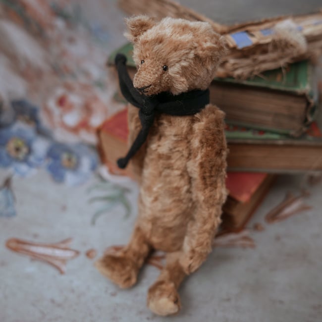 Hector, a miniature bear