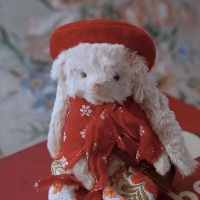 Minette, a small bunny rabbit