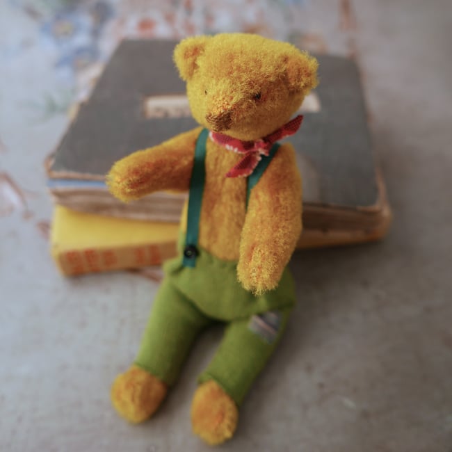 Scooter, a small bear