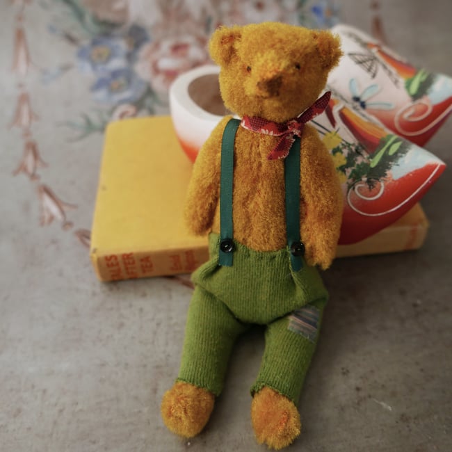 Scooter, a small bear