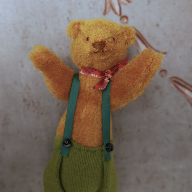 Scooter, a small bear