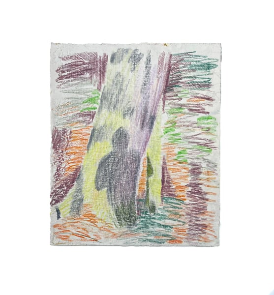 Image of Tree Shadow