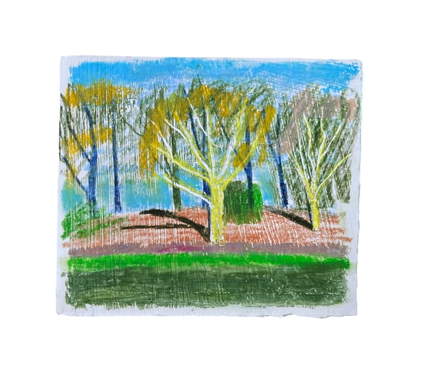 Image of Heath Shadows