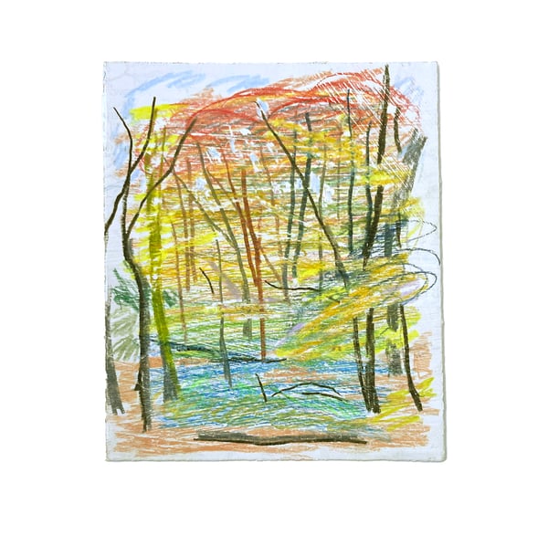 Image of Autumn Woods Rainbow