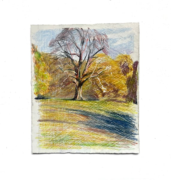Image of Autumn Drawing 5